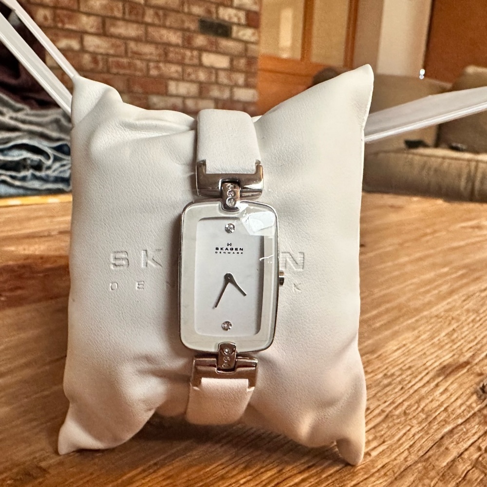 EUC SKAGEN H01SSLW Quartz Women's Wrist Watch